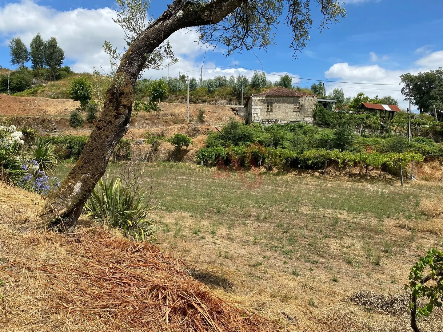 Quinta T1 - Silvares, Lousada, Porto - Miniatura: 5/9