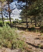 Terreno Rstico T0 - No Definido, No Definido, No Definido