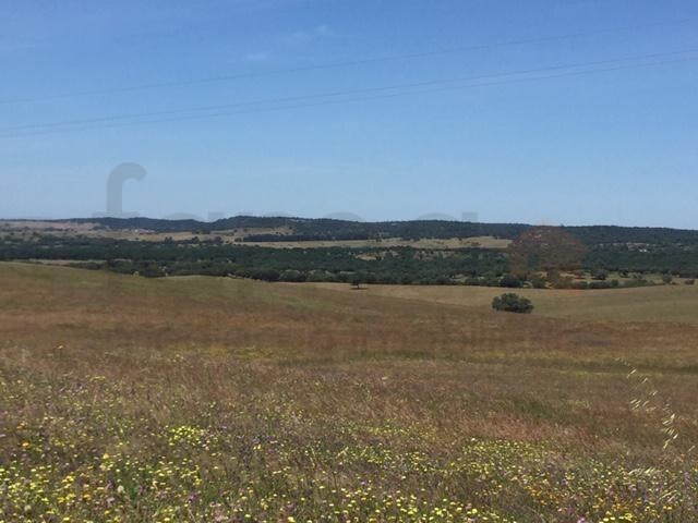 Terreno Rstico - So Cristvo, Montemor-o-Novo, vora - Imagem grande
