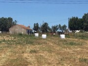 Terreno Rstico - So Cristvo, Montemor-o-Novo, vora - Miniatura: 6/9