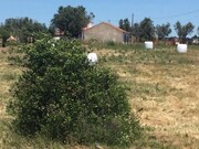 Terreno Rstico - So Cristvo, Montemor-o-Novo, vora - Miniatura: 8/9
