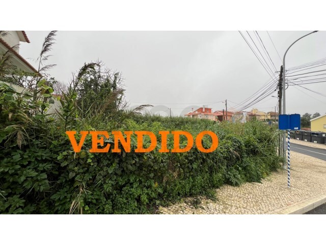 Terreno Rústico - Porto Salvo, Oeiras, Lisboa - Imagem grande