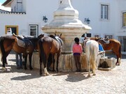 Hotel/Residencial - S�o Br�s e S�o Louren�o, Elvas, Portalegre - Miniatura: 4/9