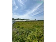 Terreno R�stico - Vagos, Vagos, Aveiro - Miniatura: 1/2