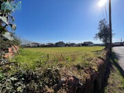 Terreno Rstico - Alquerubim, Albergaria-a-Velha, Aveiro - Miniatura: 3/5