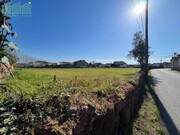 Terreno Rstico - Alquerubim, Albergaria-a-Velha, Aveiro - Miniatura: 4/5