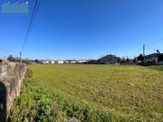 Terreno Rstico - Alquerubim, Albergaria-a-Velha, Aveiro - Miniatura: 5/5
