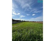 Terreno R�stico - Branca, Albergaria-a-Velha, Aveiro - Miniatura: 1/5