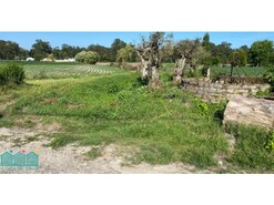 Terreno R�stico - Bunheiro, Murtosa, Aveiro