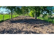 Terreno R�stico - Bunheiro, Murtosa, Aveiro - Miniatura: 2/9