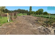 Terreno R�stico - Bunheiro, Murtosa, Aveiro - Miniatura: 3/9