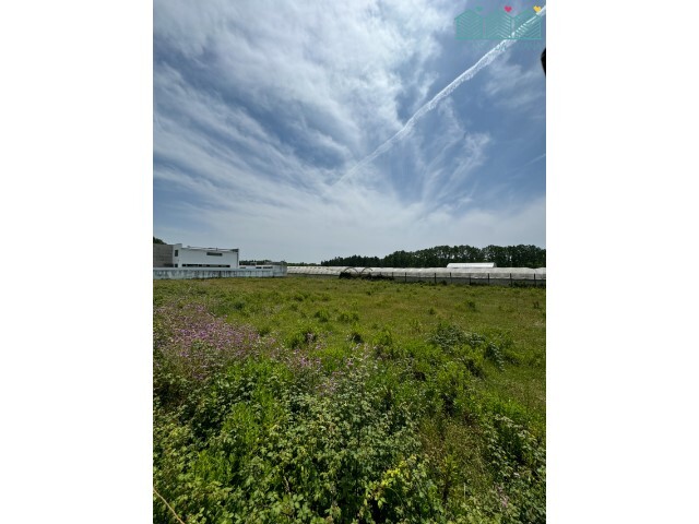 Terreno R�stico - Vagos, Vagos, Aveiro - Imagem grande