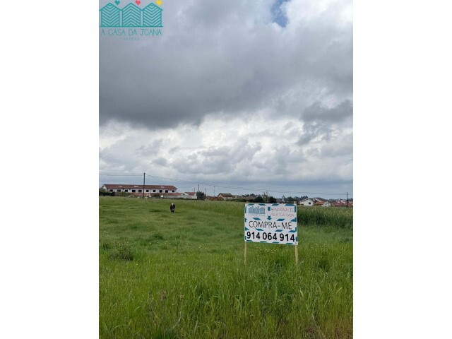 Terreno R�stico - Branca, Albergaria-a-Velha, Aveiro - Imagem grande
