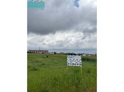 Terreno R�stico - Branca, Albergaria-a-Velha, Aveiro