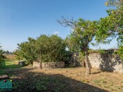 Moradia T3 - Santa Joana, Aveiro, Aveiro - Miniatura: 9/9