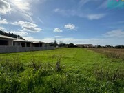Terreno R�stico - Branca, Albergaria-a-Velha, Aveiro - Miniatura: 2/5