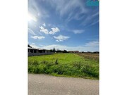 Terreno R�stico - Branca, Albergaria-a-Velha, Aveiro - Miniatura: 3/5
