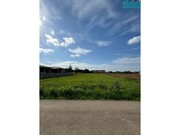 Terreno R�stico - Branca, Albergaria-a-Velha, Aveiro - Miniatura: 4/5