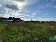 Terreno R�stico - Branca, Albergaria-a-Velha, Aveiro - Miniatura: 5/5