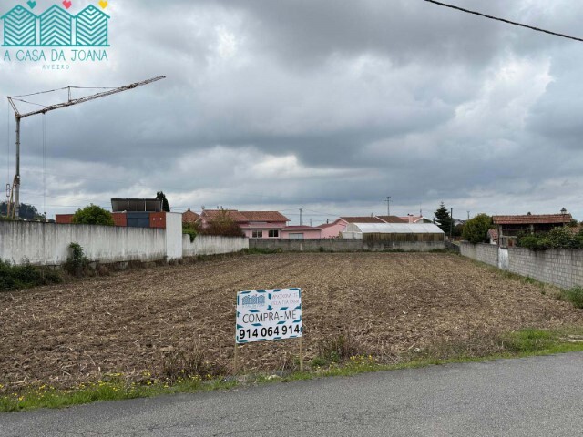 Terreno R�stico - Branca, Albergaria-a-Velha, Aveiro - Imagem grande