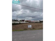 Terreno R�stico - Branca, Albergaria-a-Velha, Aveiro - Miniatura: 1/1