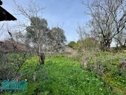 Moradia T3 - Eixo, Aveiro, Aveiro - Miniatura: 2/9