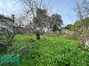 Moradia T3 - Eixo, Aveiro, Aveiro - Miniatura: 3/9