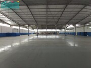 Armaz�m - Travass�, �gueda, Aveiro - Miniatura: 8/9