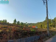 Terreno Rstico - Recardes, gueda, Aveiro - Miniatura: 3/6