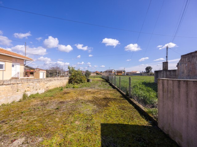 Terreno R�stico - Murtosa, Murtosa, Aveiro - Imagem grande
