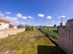Terreno R�stico - Murtosa, Murtosa, Aveiro