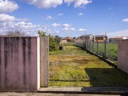 Terreno R�stico - Murtosa, Murtosa, Aveiro - Miniatura: 1/9