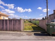 Terreno R�stico - Murtosa, Murtosa, Aveiro - Miniatura: 2/9