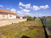 Terreno R�stico - Murtosa, Murtosa, Aveiro - Miniatura: 3/9
