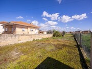 Terreno R�stico - Murtosa, Murtosa, Aveiro - Miniatura: 4/9