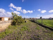 Terreno R�stico - Murtosa, Murtosa, Aveiro - Miniatura: 5/9