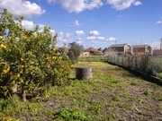 Terreno R�stico - Murtosa, Murtosa, Aveiro - Miniatura: 6/9