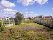 Terreno R�stico - Murtosa, Murtosa, Aveiro - Miniatura: 7/9
