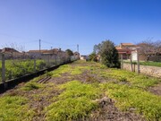 Terreno R�stico - Murtosa, Murtosa, Aveiro - Miniatura: 9/9