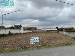 Terreno R�stico - Branca, Albergaria-a-Velha, Aveiro