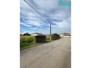 Terreno R�stico - Branca, Albergaria-a-Velha, Aveiro - Miniatura: 2/6