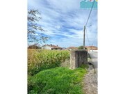 Terreno R�stico - Branca, Albergaria-a-Velha, Aveiro - Miniatura: 6/6