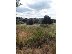 Terreno Rstico - Manique do Intendente, Azambuja, Lisboa