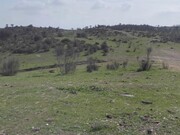 Terreno Rstico - Mouro, Mouro, vora - Miniatura: 8/9