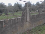 Quinta T3 - Corval, Reguengos de Monsaraz, Évora - Miniatura: 2/9