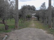 Quinta T3 - Corval, Reguengos de Monsaraz, Évora - Miniatura: 3/9