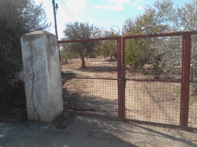 Quinta - Corval, Reguengos de Monsaraz, Évora - Imagem grande