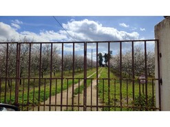Quinta - Mouro, Mouro, vora