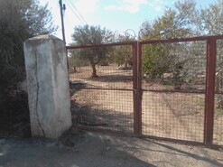 Quinta - Corval, Reguengos de Monsaraz, vora
