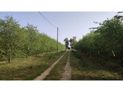Quinta - Mouro, Mouro, vora - Miniatura: 2/9